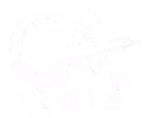 ICAI Certified